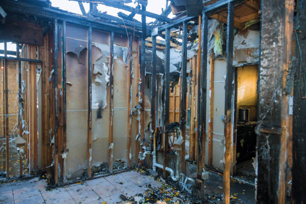 Professional Smoke Damage Removal technician working in Horace, ND